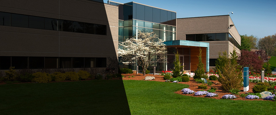 Cassatt Landscapers