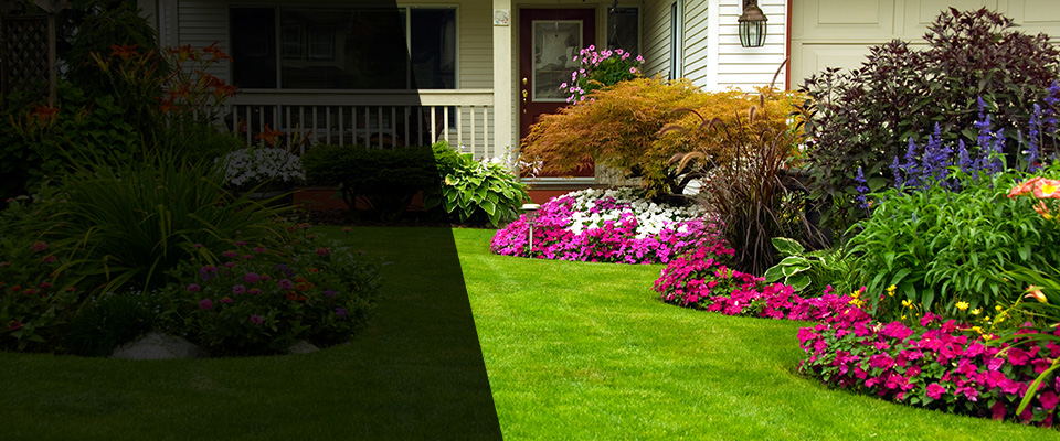 Cassatt Landscapers