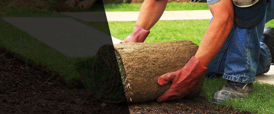 Cassatt Landscapers